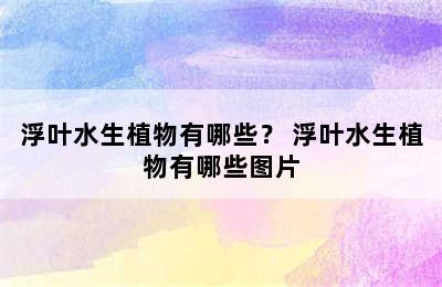 浮叶水生植物有哪些？ 浮叶水生植物有哪些图片